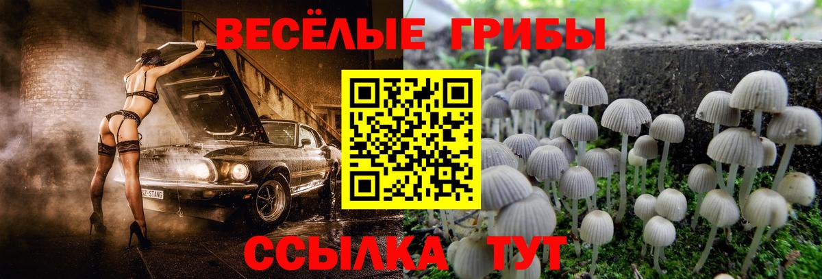 Нефтеюганск  цена   Вход с VPN  Галлюциногенные грибы Psilocybine cubensis 